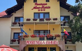 Pensiunea Ana Maria